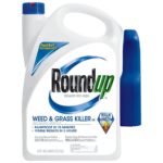 glyphosate cancer lawsuits 